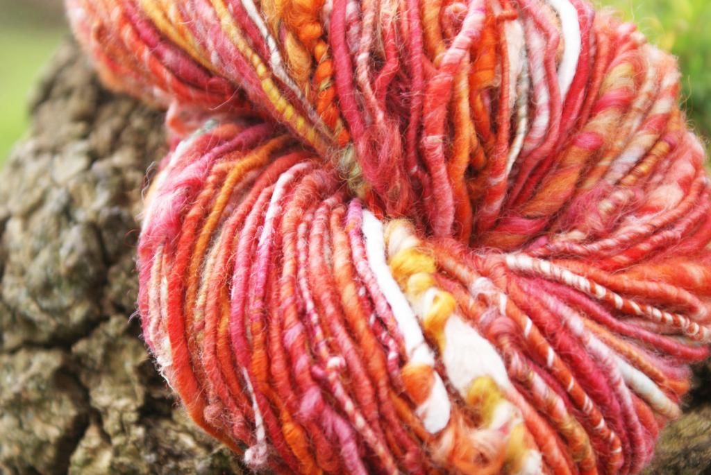 Happy Daisy Knitting Adventures Yarn Store Spotlight